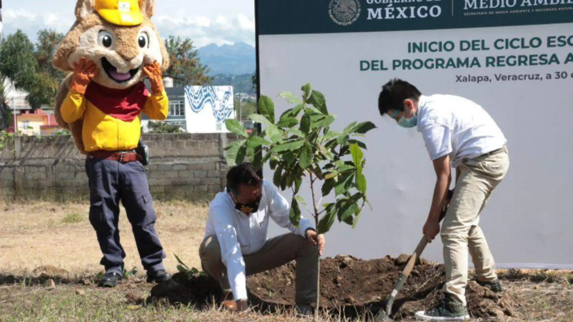 programa ambiental